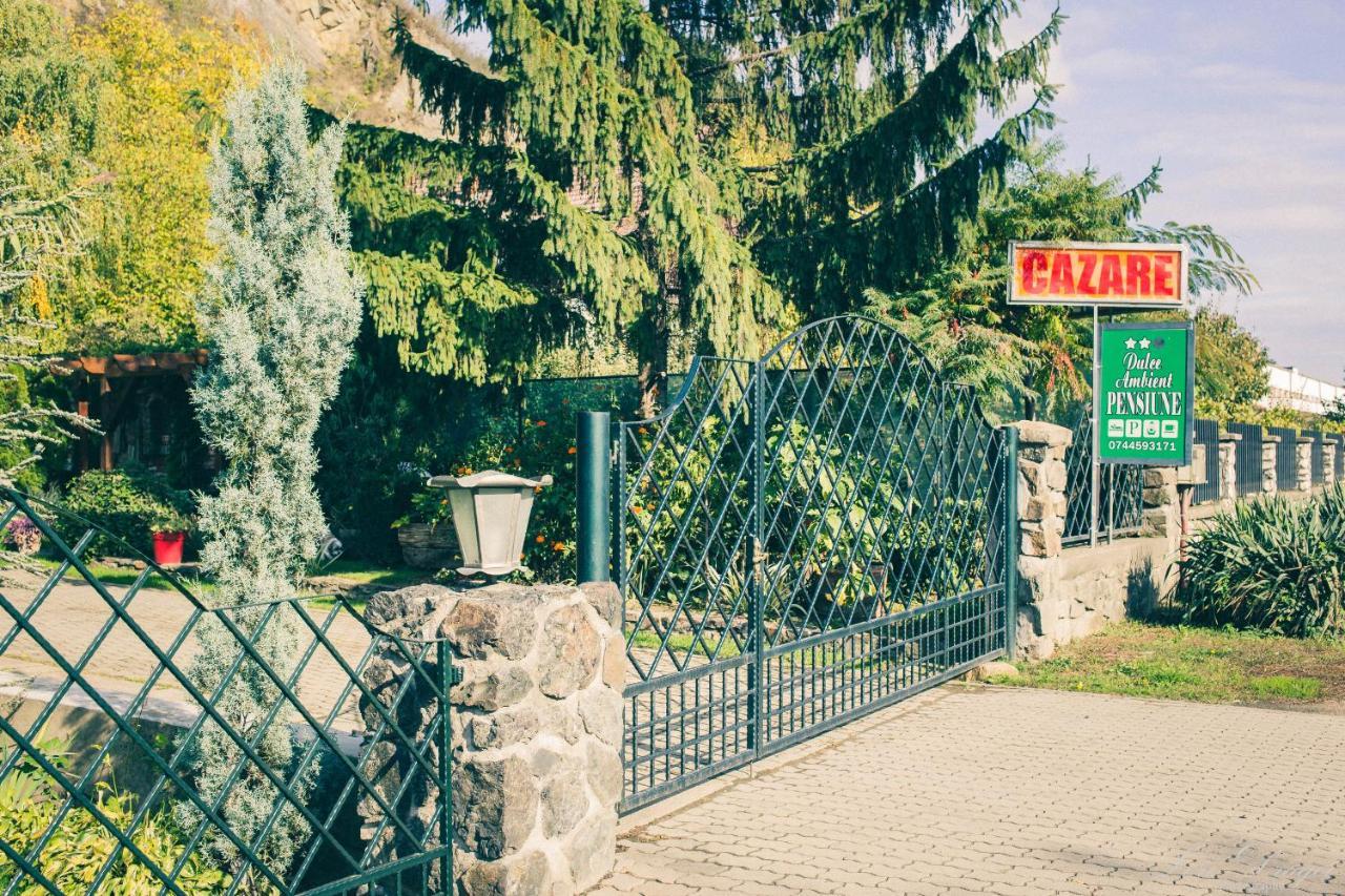 Pensiunea Dulce Ambient Ópálos Kültér fotó